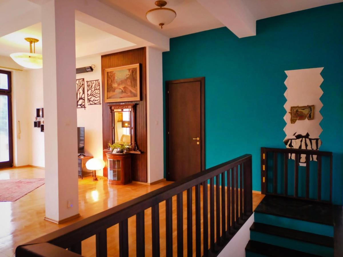 Villa & Spa 4Temporadas - Plaiul Foii Зэрнешти Экстерьер фото
